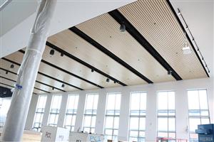 Ceiling wood installed in the Commons